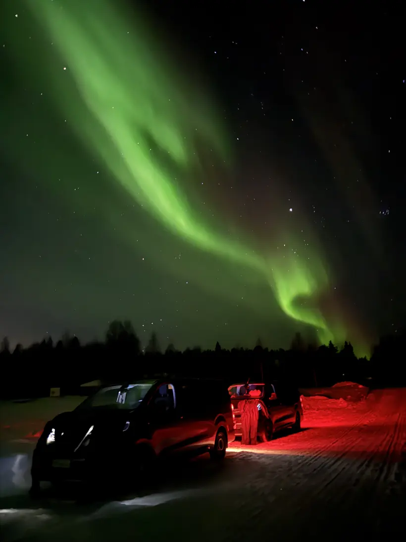 Two guests watching the aurora above a birch forest